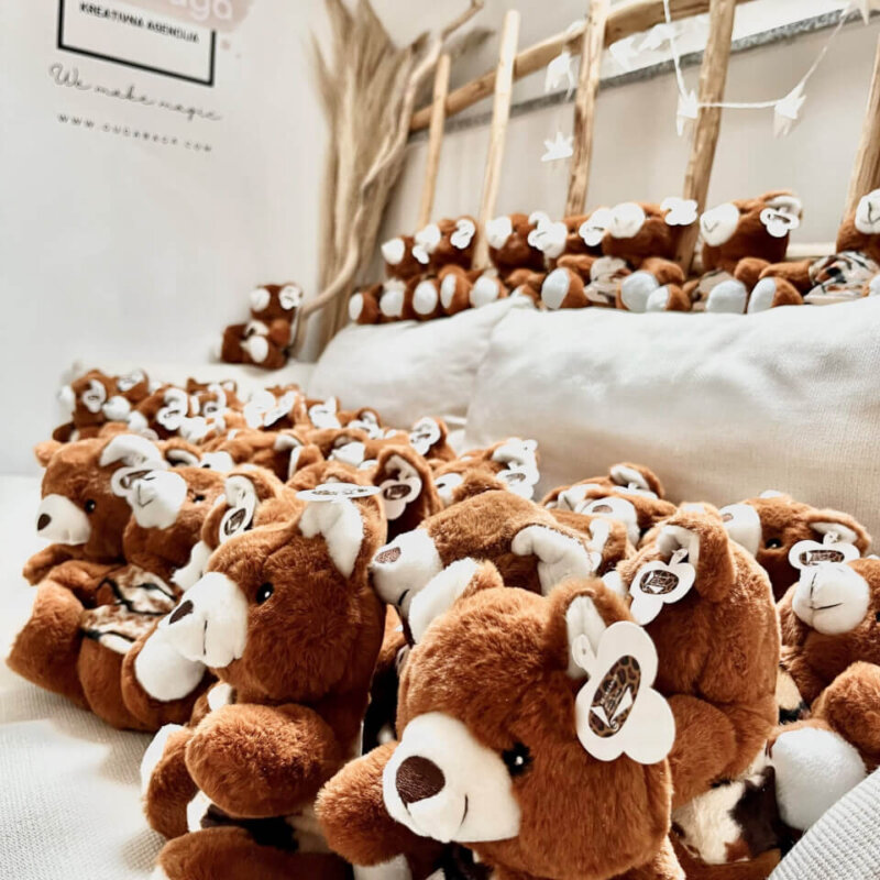 Muzej krapinskih neandertalaca